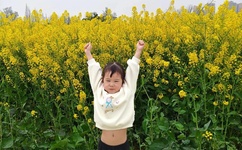 男生看的污网站